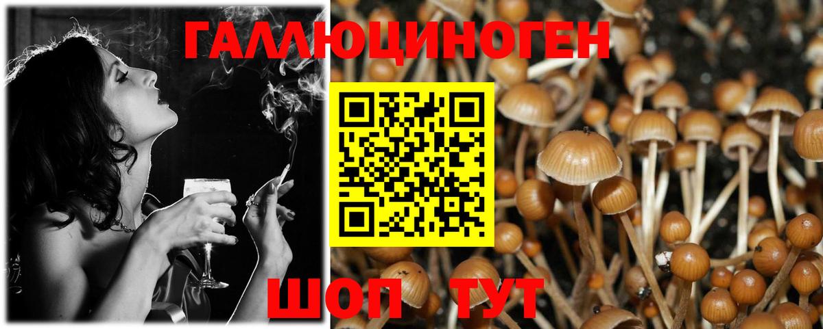 Псилоцибиновые грибы Psilocybine cubensis Серпухов